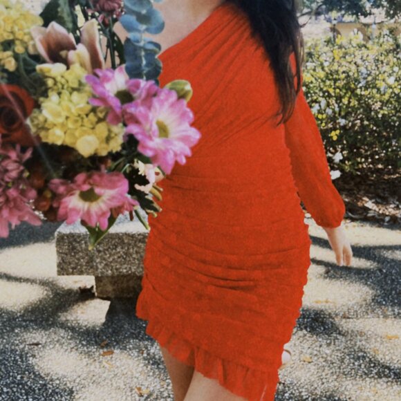 Showpo Red Lace Mini Dress - Picture 4 of 4